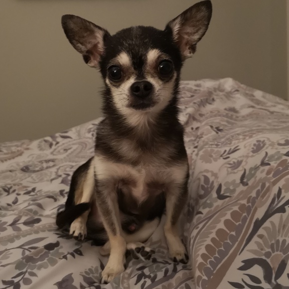 Nice to meet you! I'm Katherine 🇨🇦 - Picture 3 of 3